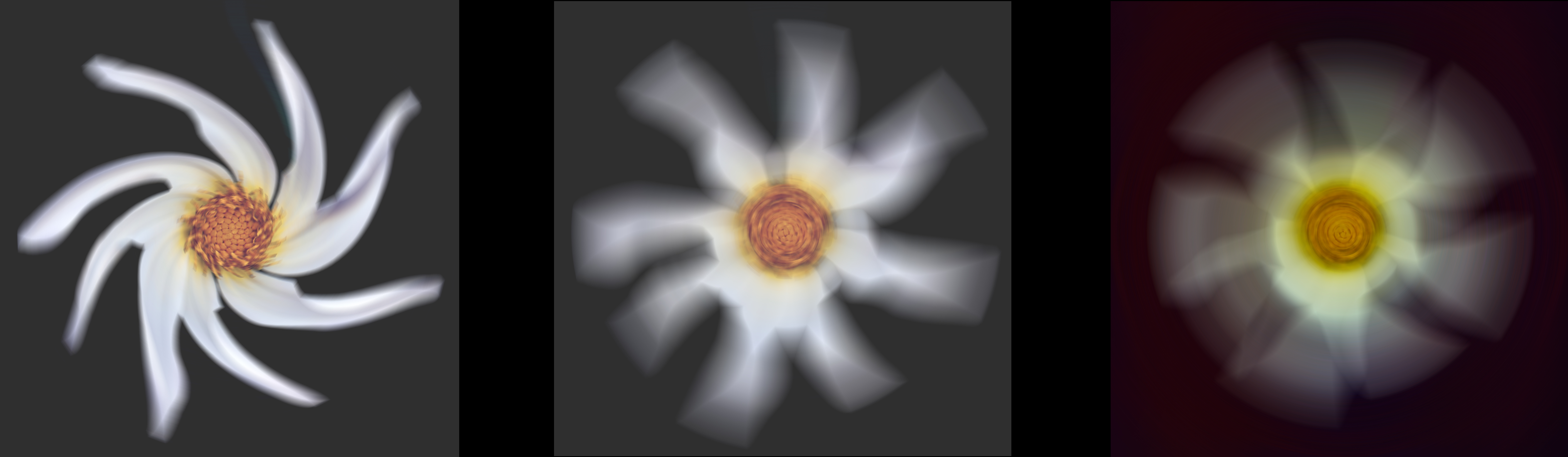 1-white dalhia_Pinwheel_Composite