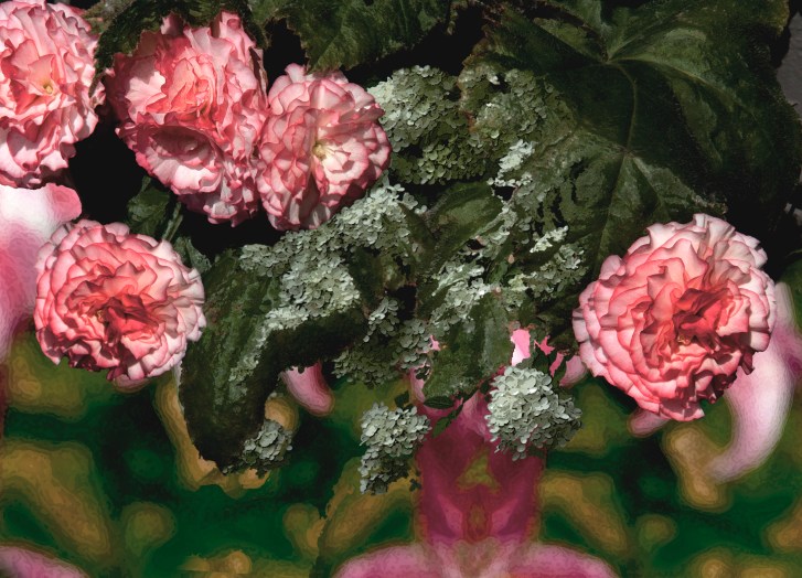 Red Flowers w abstract background flat